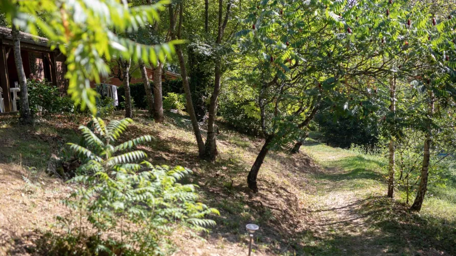 Les Chalets de la Gazonne