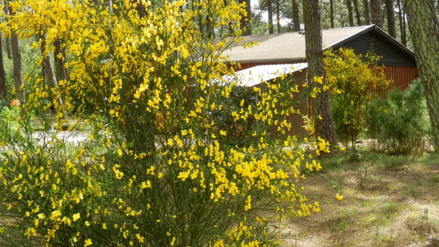 Euronat Village Naturiste