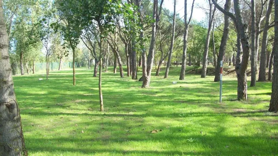 Camping & Bungalows Platja Brava