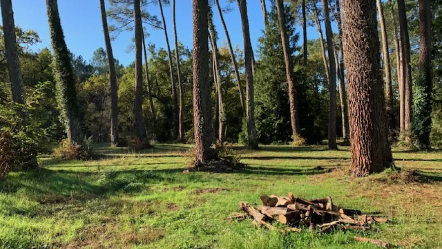 Camping Val de l'Eyre