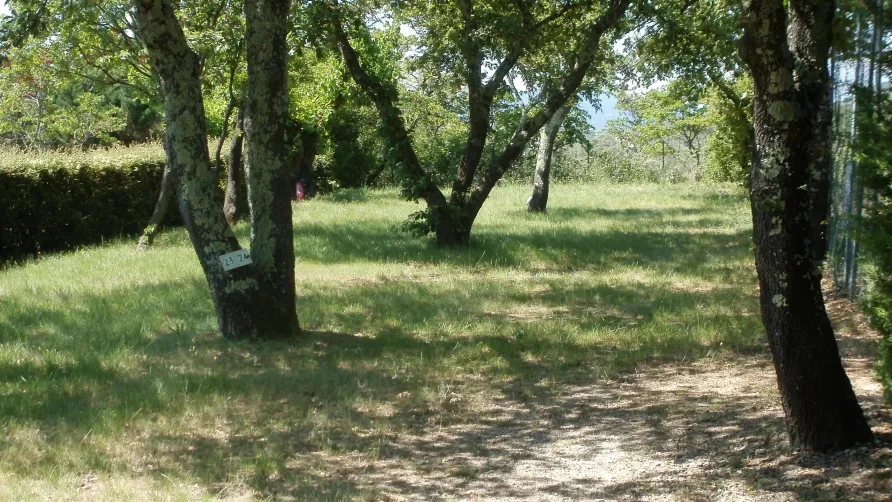 Camping Les Silhols
