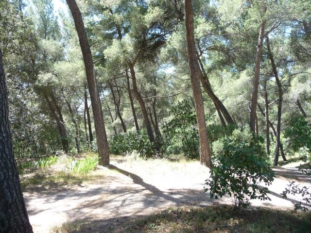 Camping Chantecler