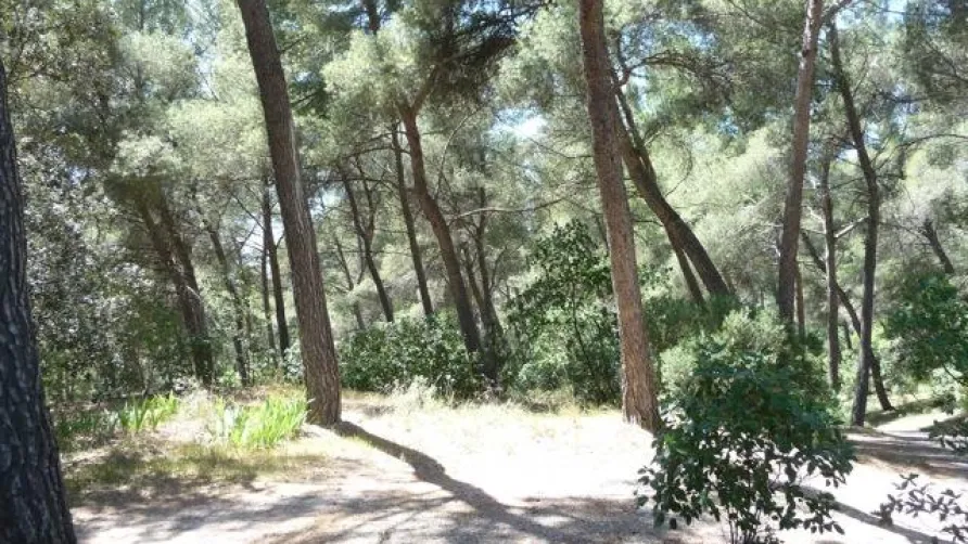 Camping Chantecler