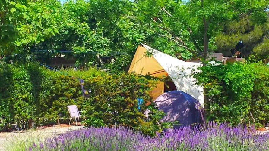 Camping MARIUS