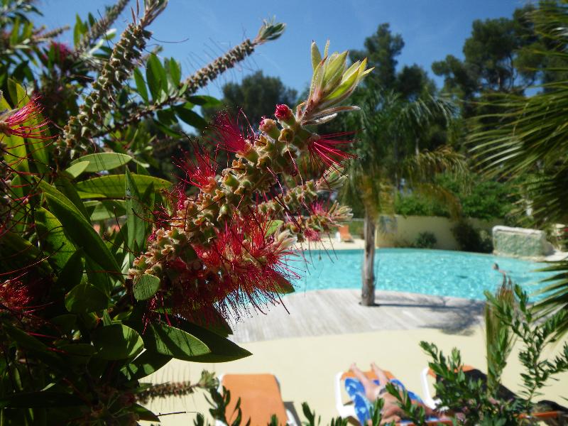 Camping de Ceyreste