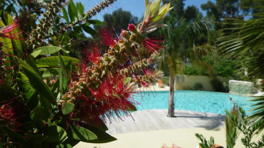 Camping de Ceyreste