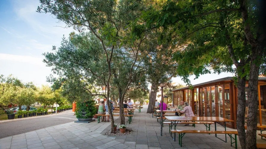 Camping Bor