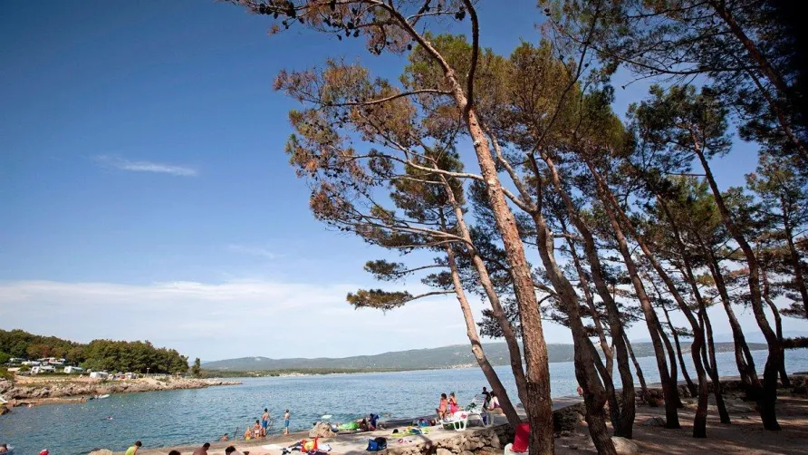 Camping Bor