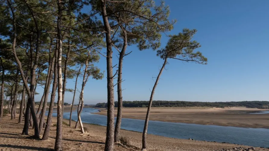 Camping Les Flots de l'Océan