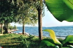 INTERNATIONAL GLAMPING LAGO DI BRACCIANO