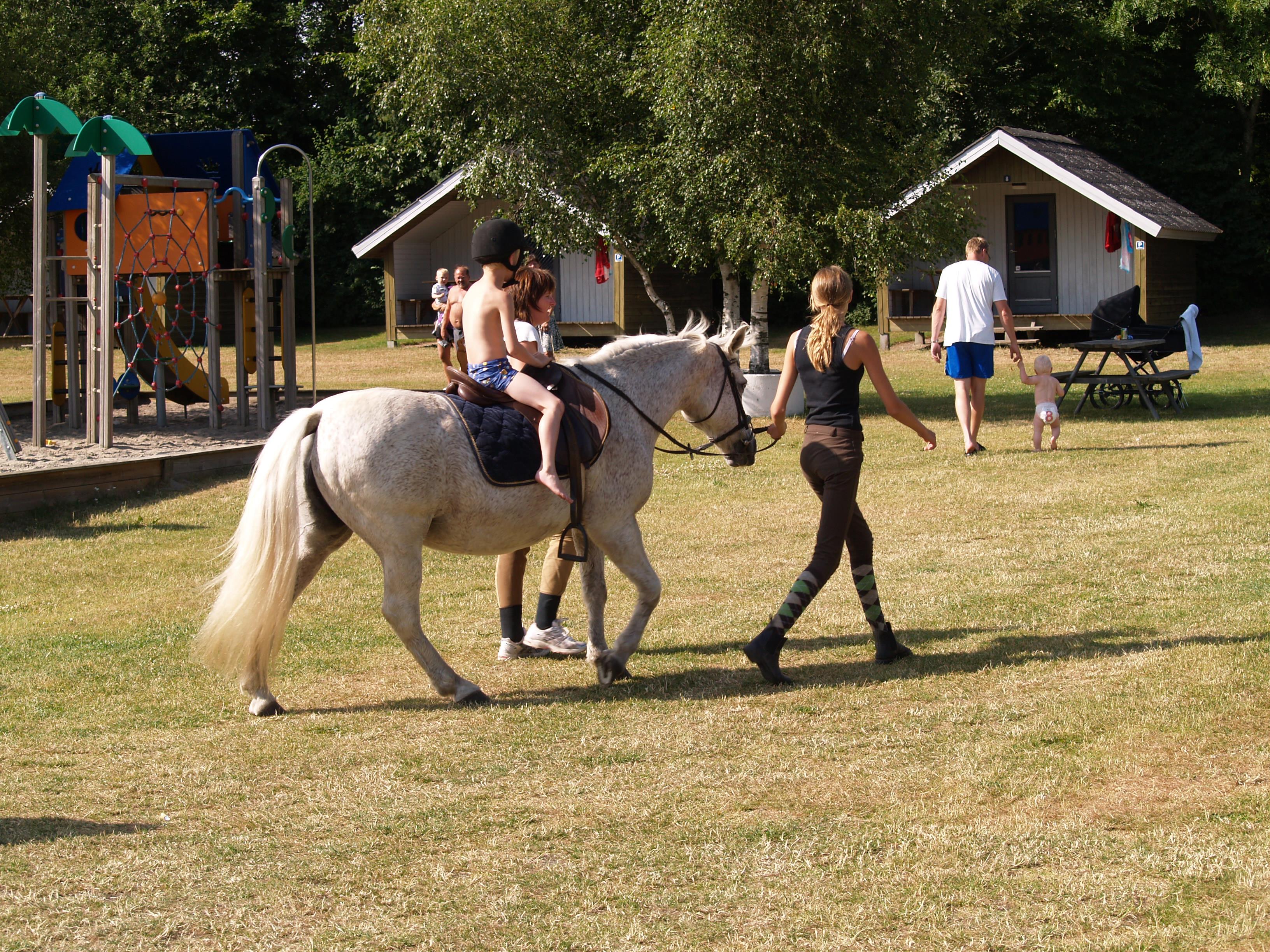 Riis Feriepark
