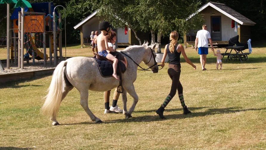 Riis Feriepark