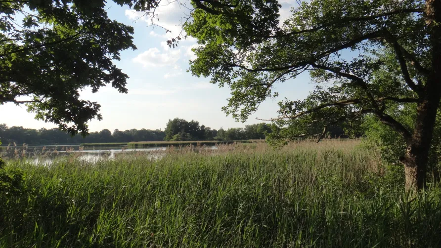 Naturcampingplatz Olbasee