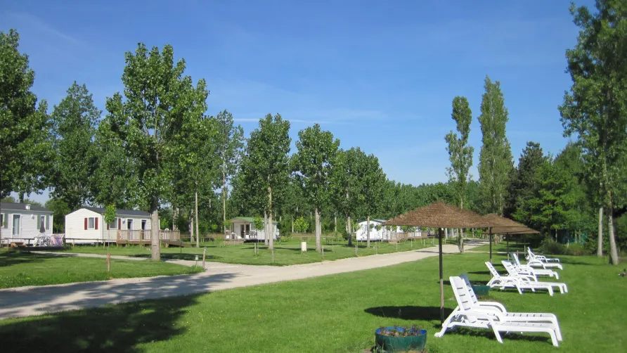 Campilo