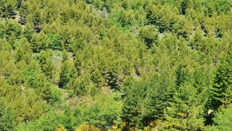Camping L'Orée de Provence (Sites & Paysages)