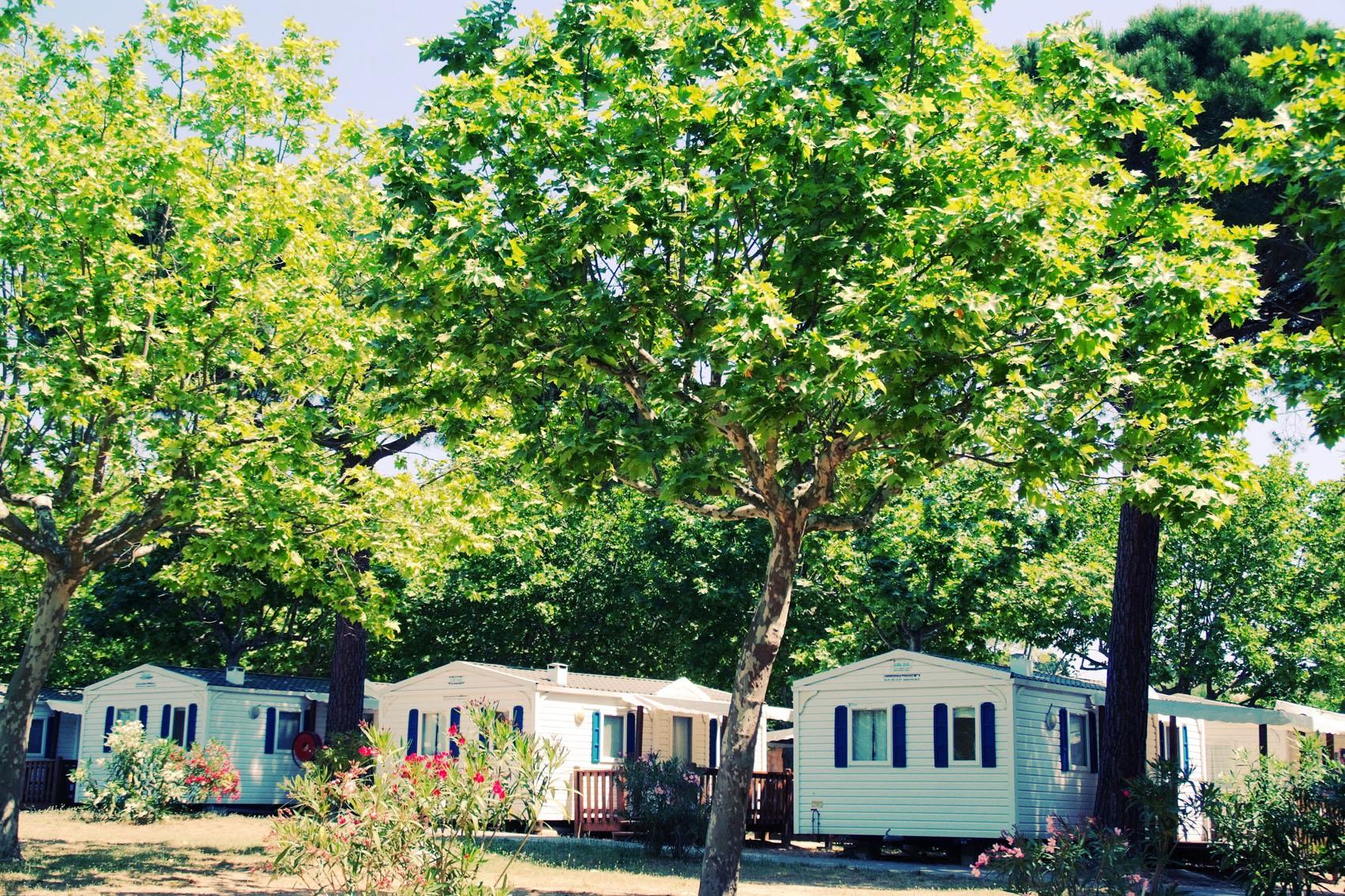 Camping des Mûres