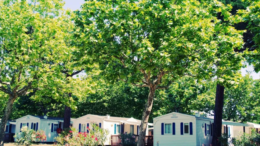 Camping des Mûres