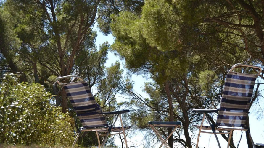 OLD - Camping Avignon Parc