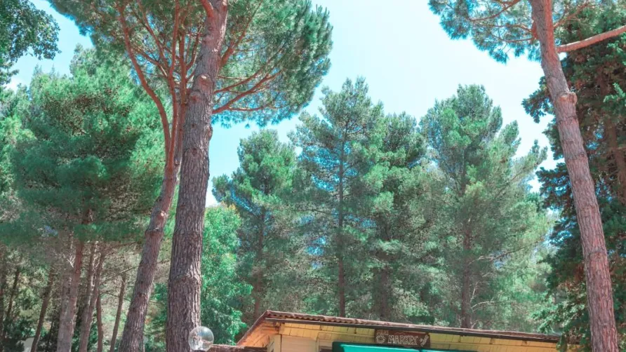 Sandaya Le Pianacce