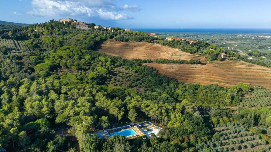 Sandaya Le Pianacce