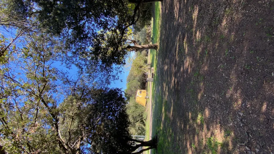 Camping Internazionale Castelfusano