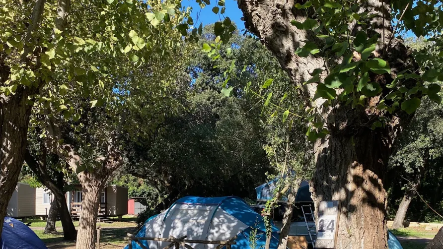 Camping Internazionale Castelfusano