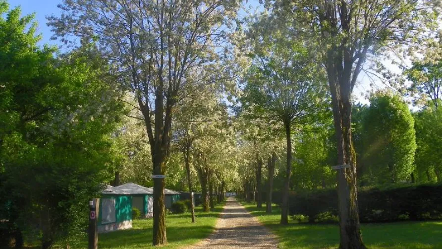 CAMPING LE ROCHER DE LA GRANELLE