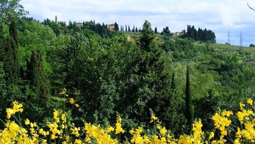 Camping Panorama del Chianti