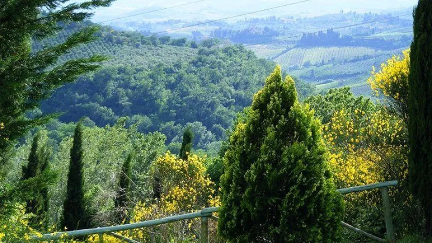 Camping Panorama del Chianti