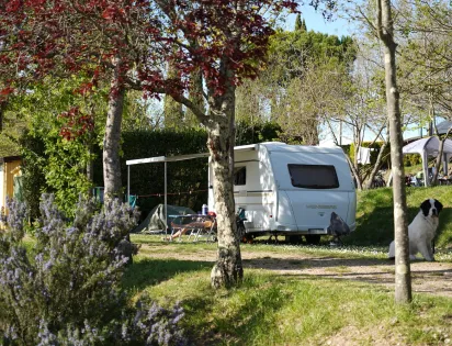 Camping Panorama del Chianti