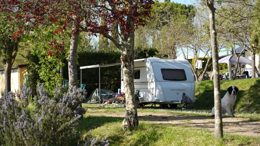 Camping Panorama del Chianti