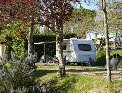 Camping Panorama del Chianti