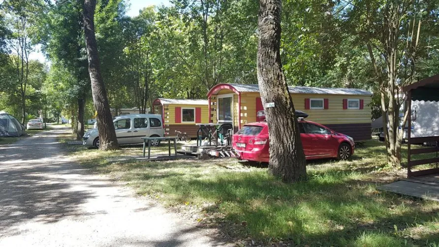 CAMPING DU LION