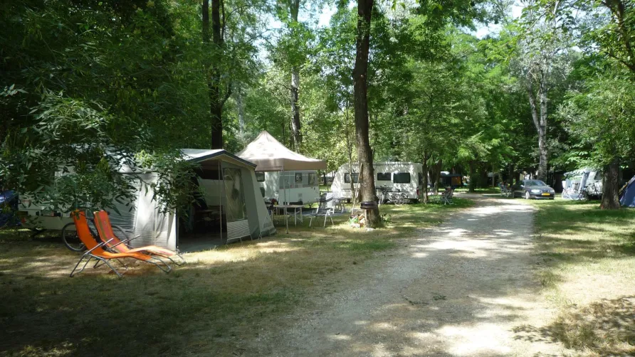 CAMPING DU LION