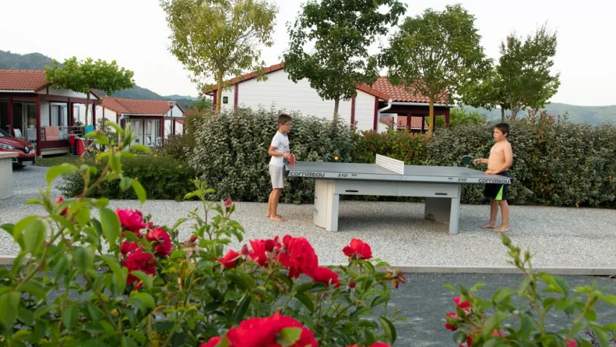 Domaine Larlapean ***