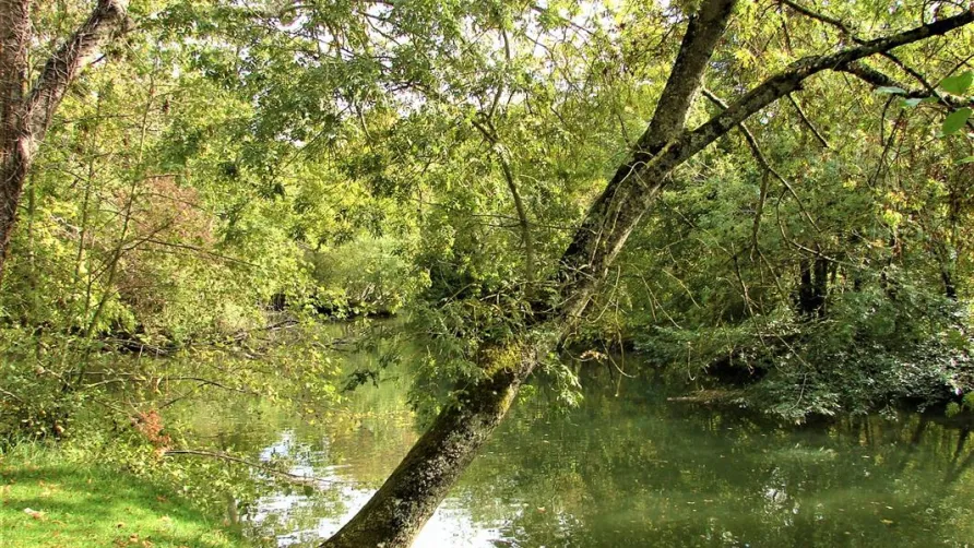 Camping Au Cœur de Vendôme