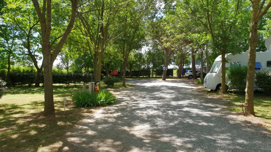 Camping Le Fou du Roi