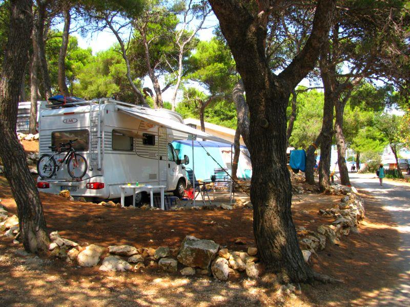 Arena One 99 Glamping