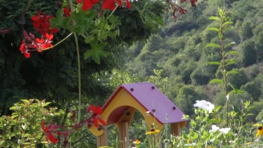 Flower Camping de Mars