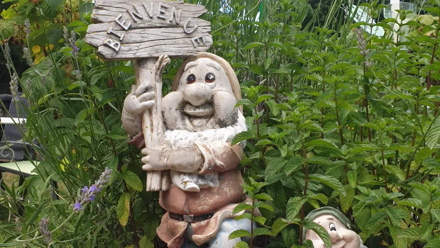 Camping de la Haute Sioule