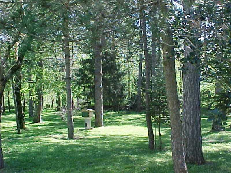 Camping Villaggio Rio Verde