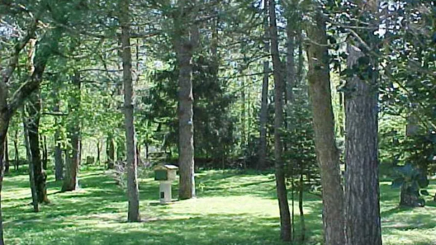 Camping Villaggio Rio Verde