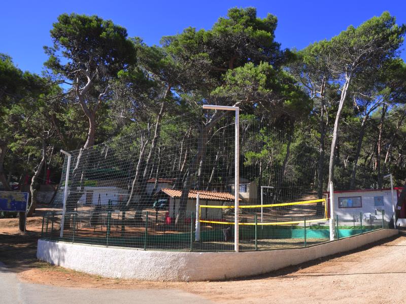 Arena Tašalera