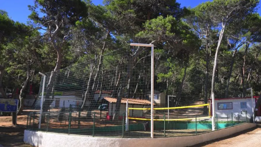 Arena Tašalera