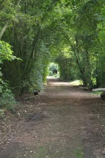 Camping Emmen