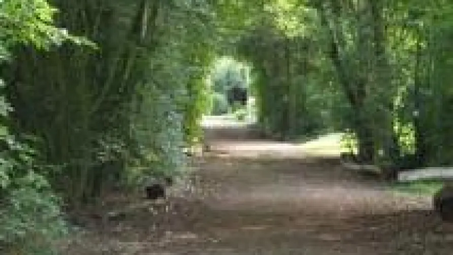 Camping Emmen