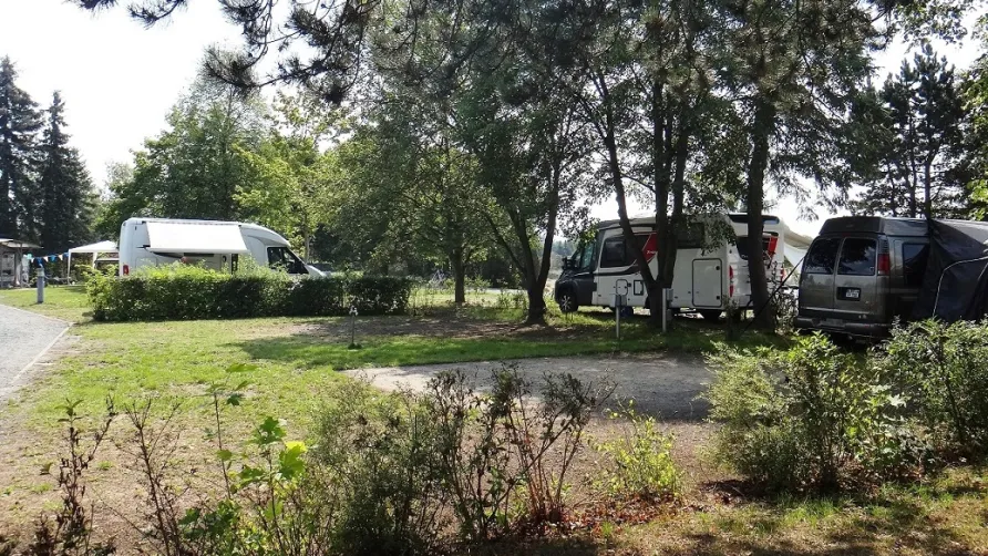 Waldcamping Pirna Copitz