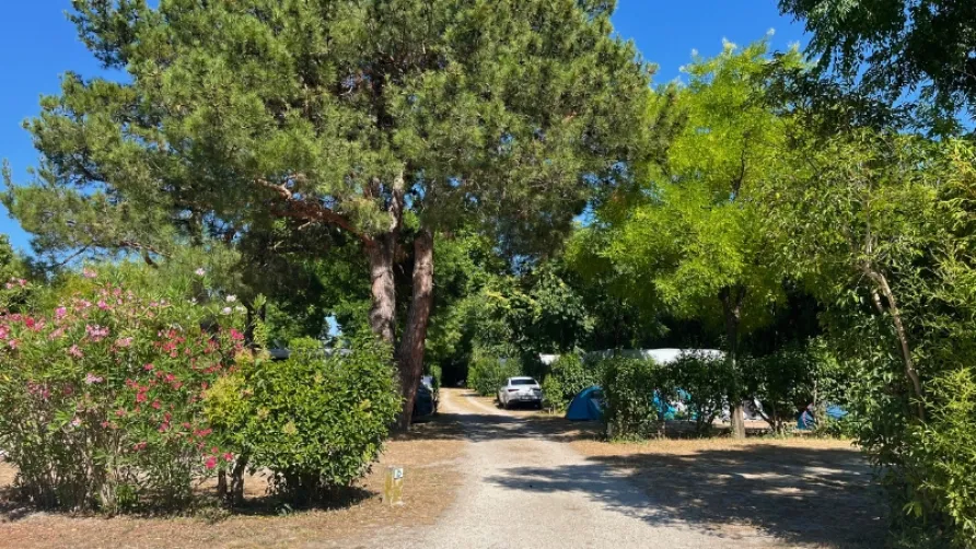 Camping Pegomas