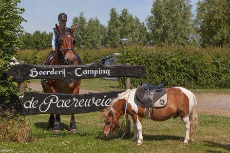 Camping De Paardenwei