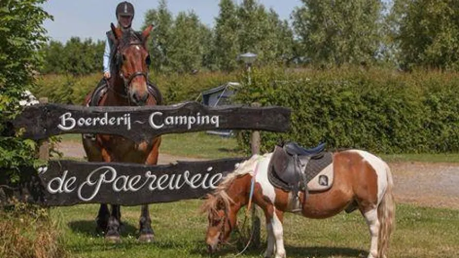 Camping De Paardenwei